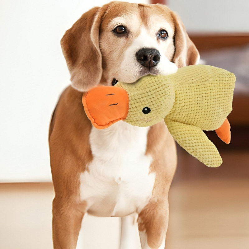 Calming Dog Toy